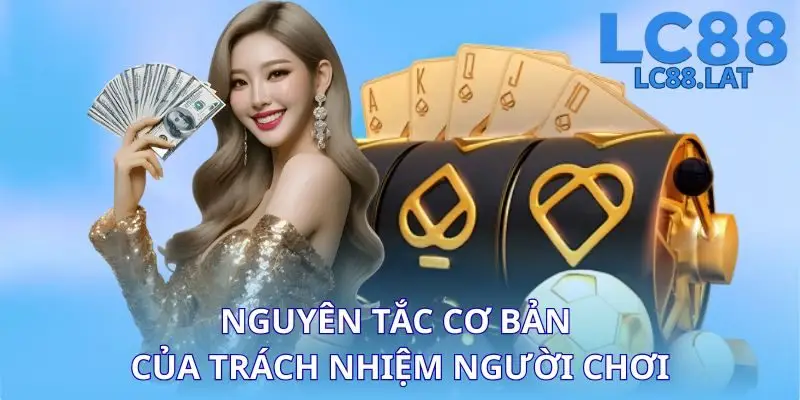Nguyên tắc cơ bản của trách nhiệm người chơi